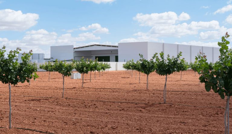 Planta procesado Iberopistacho