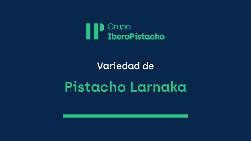 pistacho larnaka