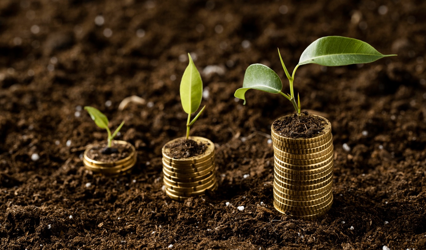 Colaboración entre Grupo IberoPistacho y Faenza Capital en inversión agrícola