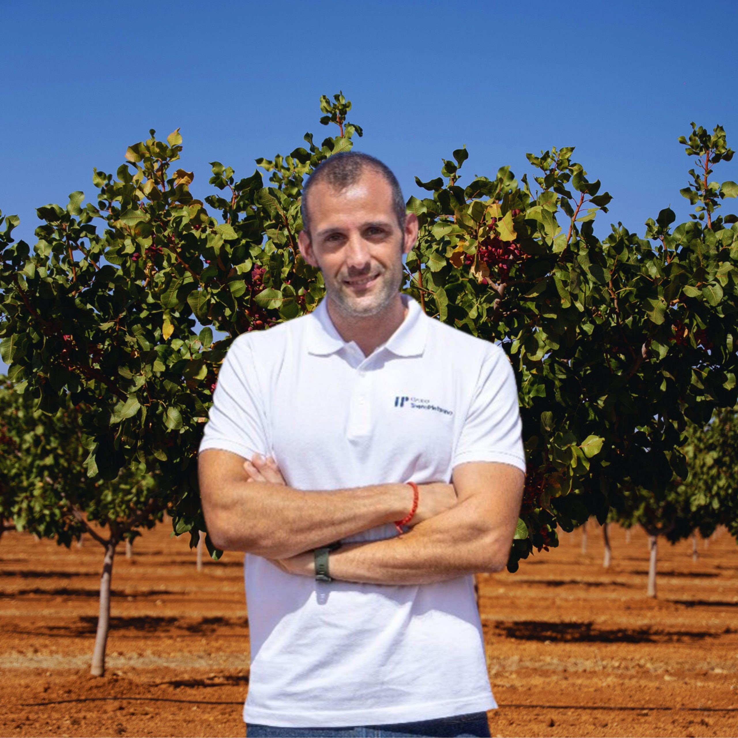 Andrés Costa
Responsable Venta de Fruto
Tarjeta Digital