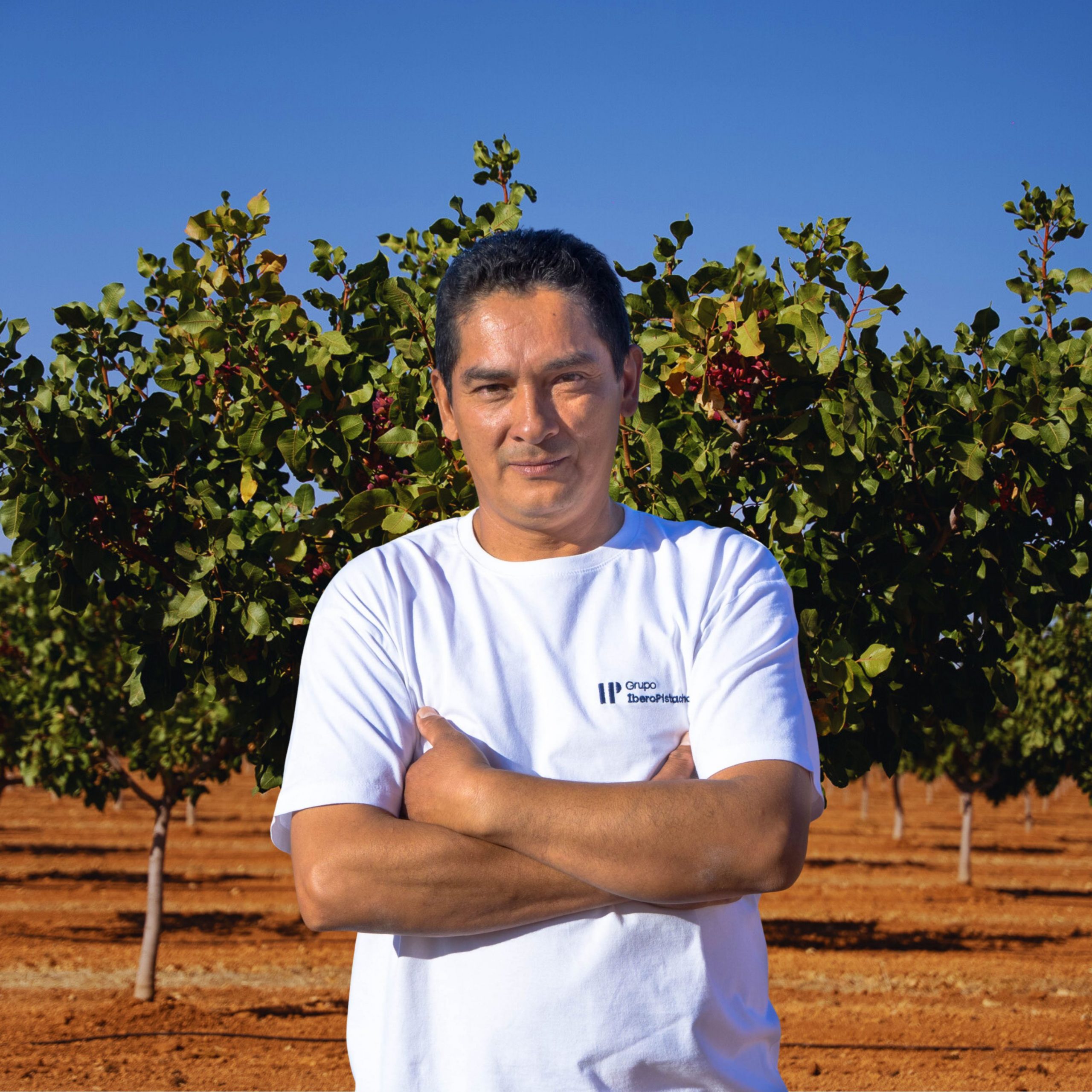 Héctor Zenón
Encargado de Finca
Tarjeta Digital