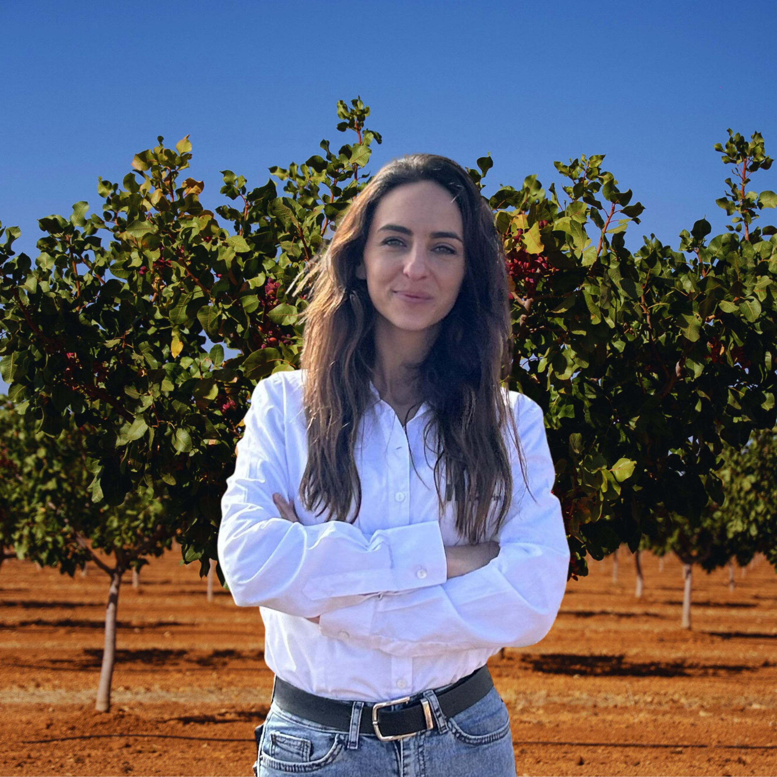 Inma Márquez
Dpto. de Ingeniería
Tarjeta Digital